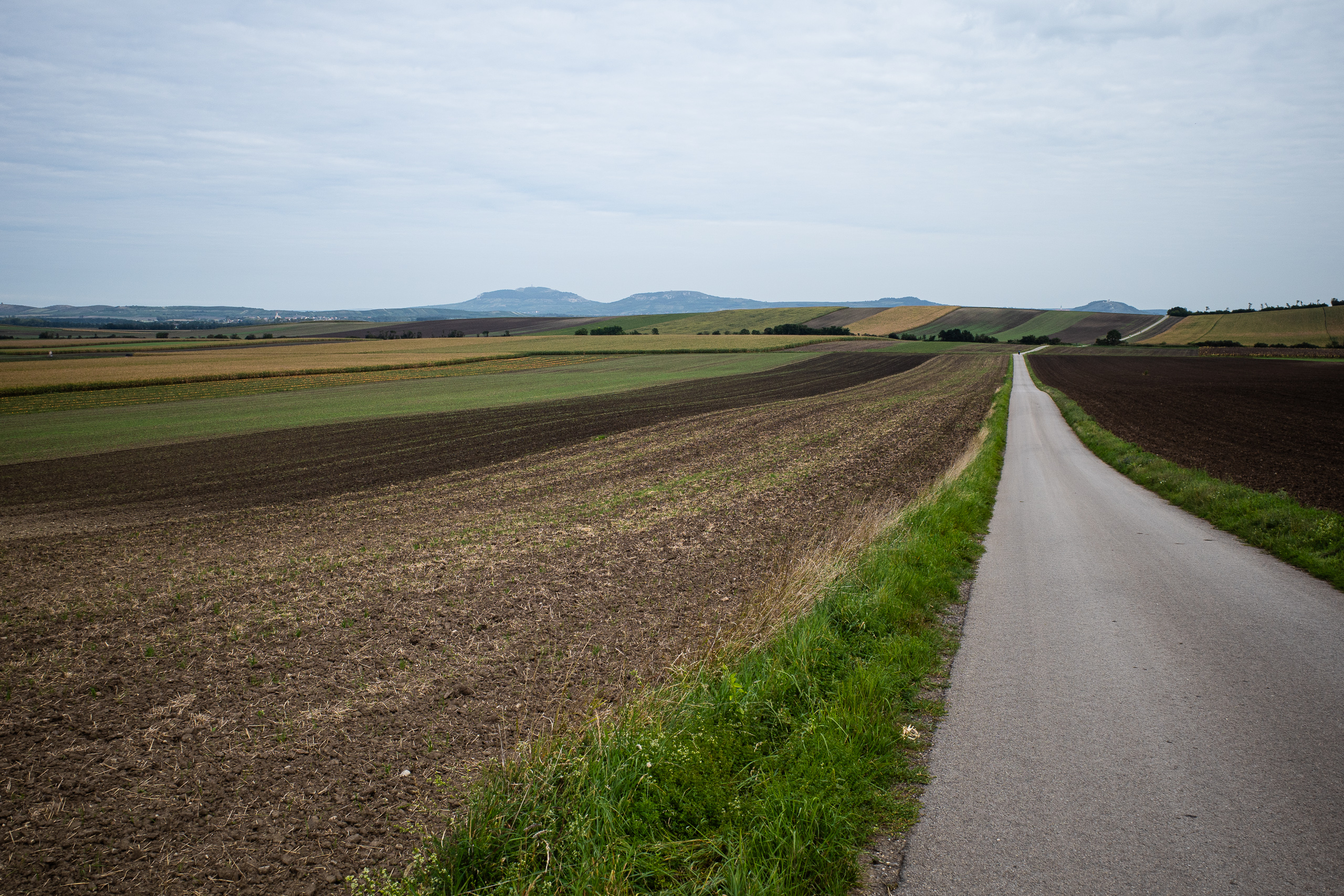 Schnurgerade Straße durch die Felder, am Horizont die Pollauer Berge